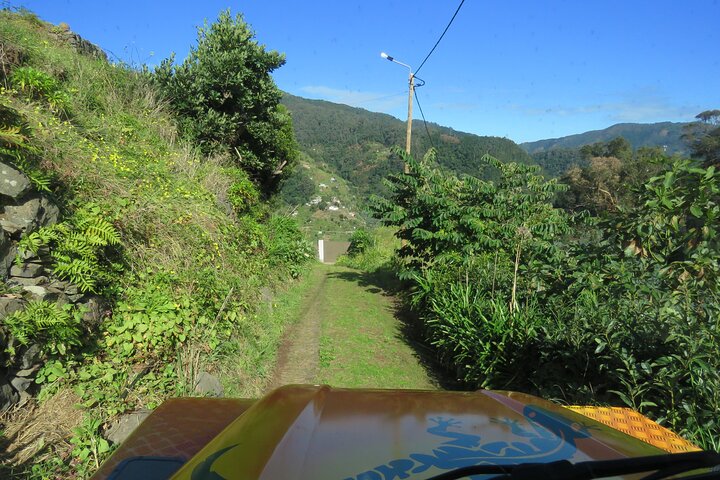 Local Farmers Market and 4WD Experience from Funchal - Image 4