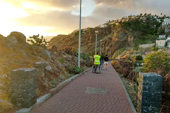  Low Cost Wheelchair Handicap Half Day Tour, Fully Accessible Tour  - Image 4