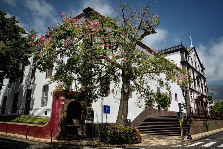 Madeira Grand Experience (price per tukxi - up to 3 people) - Image 4