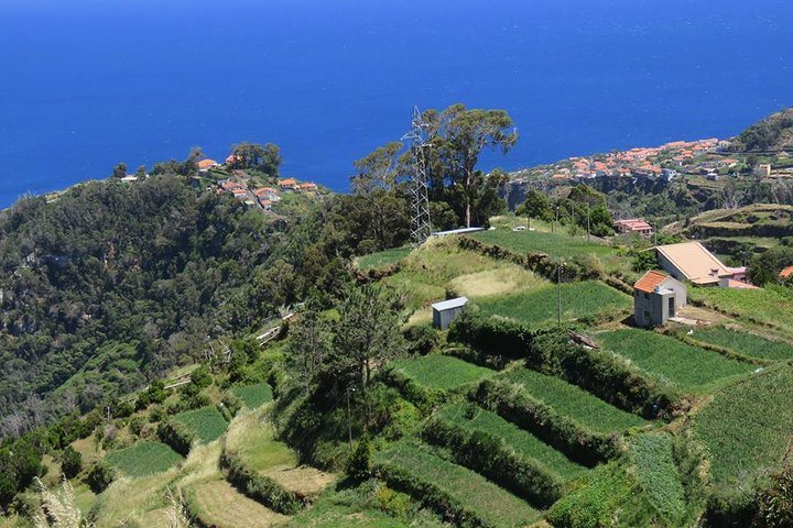 Madeira Highlights: Guided 4-Hour Tour from Funchal - Image 3