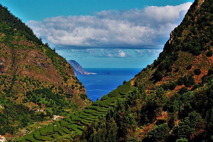 Madeira Island Private Wine Full-day Tour in Open Top 4WD - Image 1