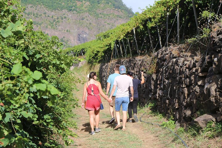 Madeira Island Private Wine Full-day Tour in Open Top 4WD - Image 4