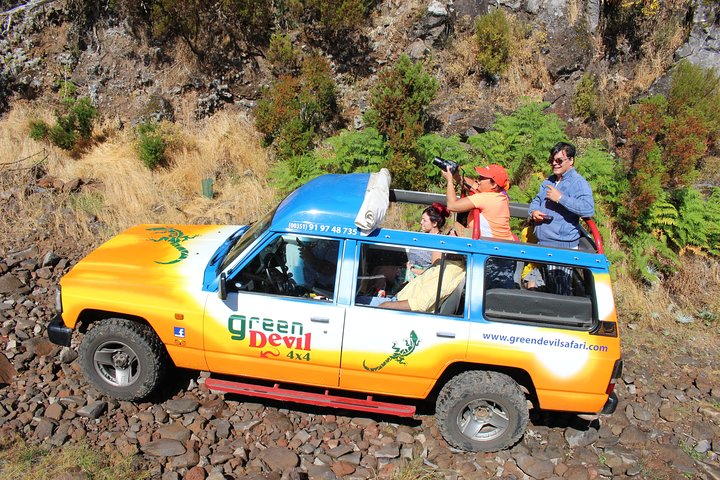 Madeira Peaks - Open 4X4 Full-Day Tour - Image 5