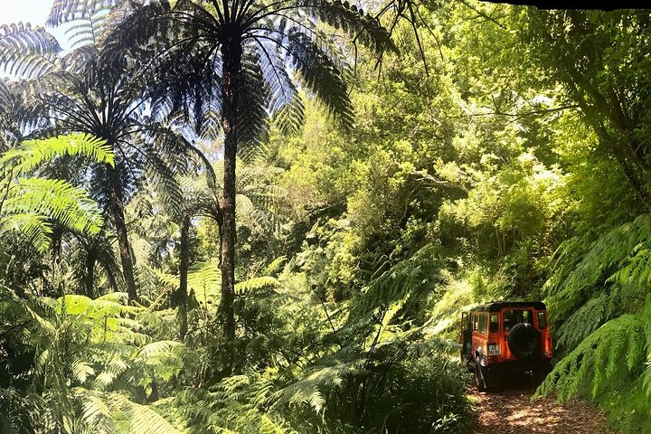 Madeira Private Jeep 4x4: Old Forest Full-Day Tour incl Pico Arieiro - Image 3