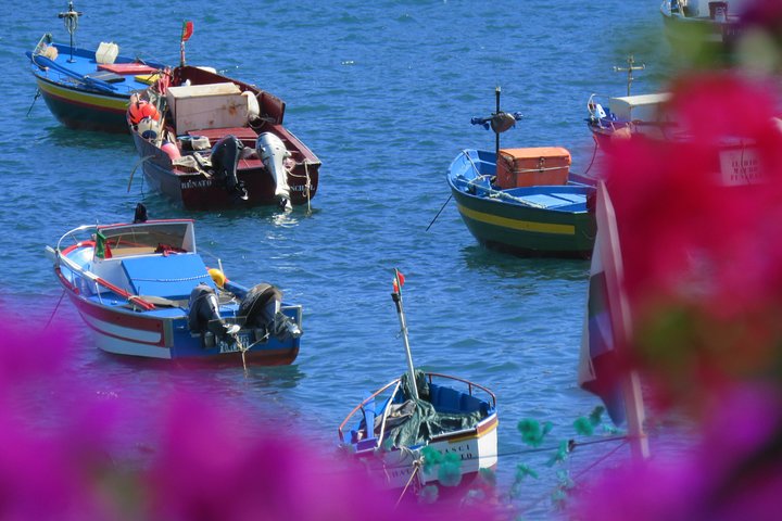 Madeira Sea Cliff and Camara de Lobos 4WD Half Day Tour - Image 1