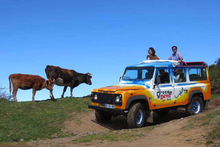 Madeira Sea Cliff and Camara de Lobos 4WD Half Day Tour - Image 2