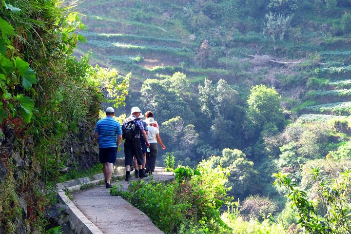 Marches To Vale Das Mimosas - Image 5