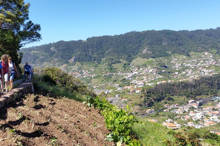 Maroços - Mimosa Valley - Image 1