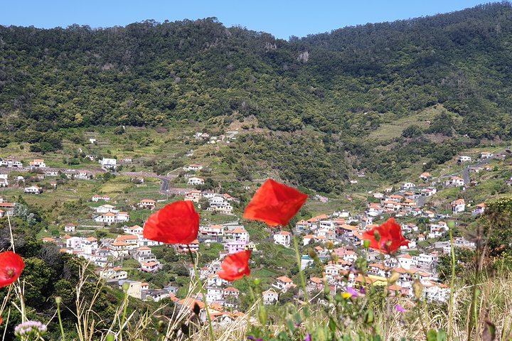 Maroços - Mimosa Valley - Image 3