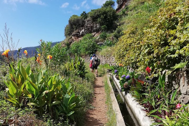 Maroços - Mimosa Valley - Image 2