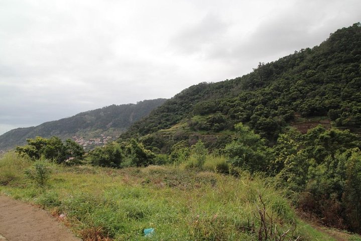 Maroços - Vale das Mimosas (Half Day Walk) - Image 5