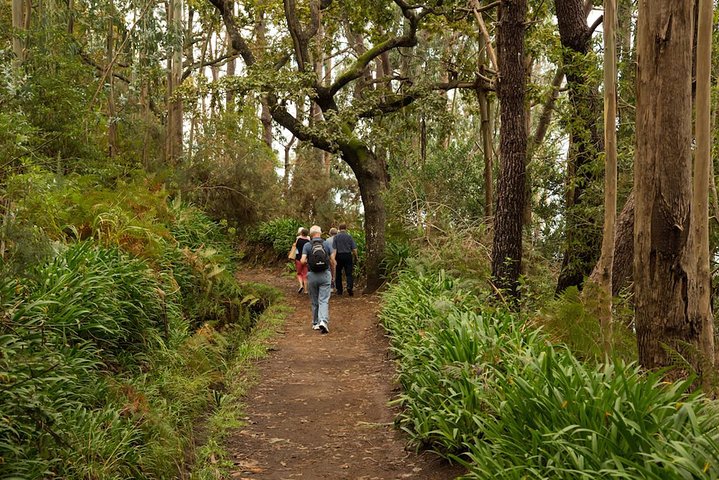 Mini -Combo East Challenge (Jeep Safari & Levada Walk) - Image 4
