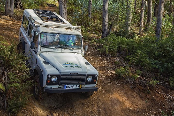 Nun's Valley & Sea Cliff - Half Day Jeep Tours - Image 3