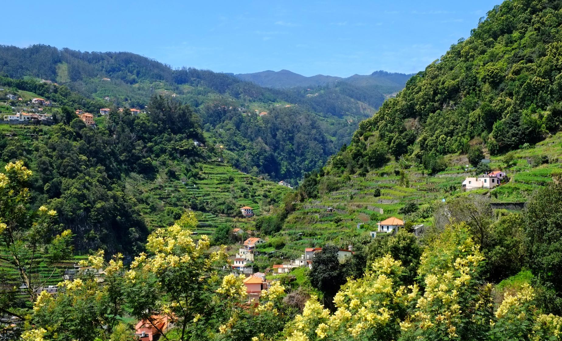 Paradise Valley and Camacha Village Walk - Image 1