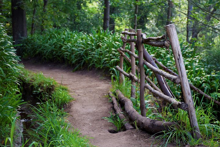 Paradise Valley Beauty Walk - Image 2