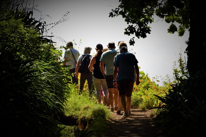 Paradise Valley Beauty Walk - Image 1