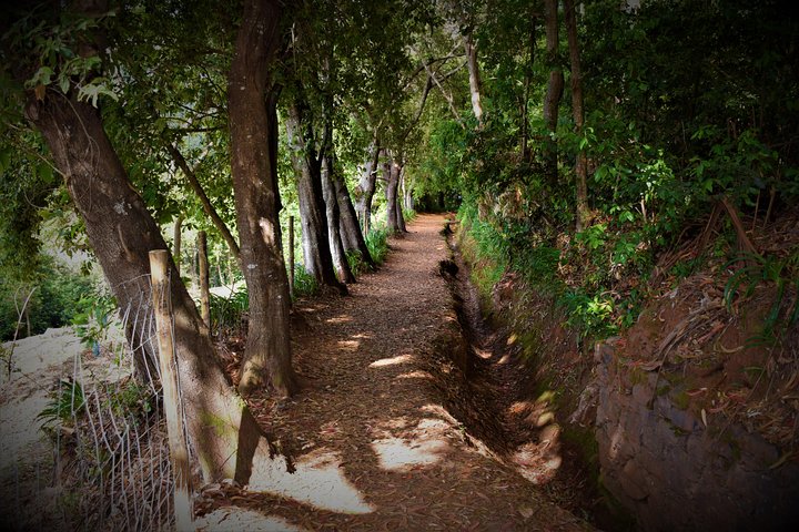 Paradise Valley Beauty Walk - Image 5