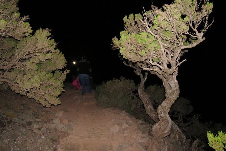 Pico Ruivo Sunrise Hike and 4x4 Island Tour from Funchal - Image 4