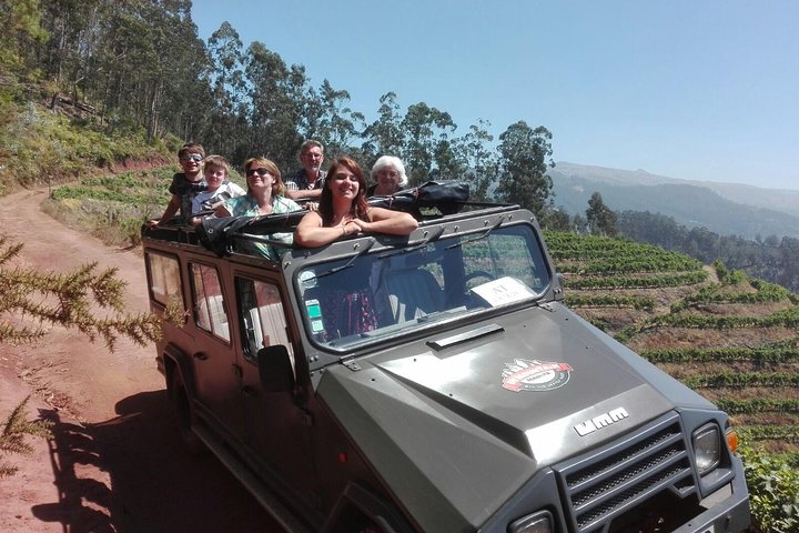 Private & Customizable Safari 4x4 Half-Day Shore Excursion  - Image 2