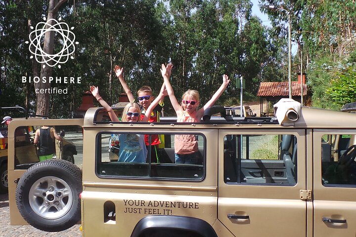 Private Half-Day 4X4 Tour: East or West - Image 1