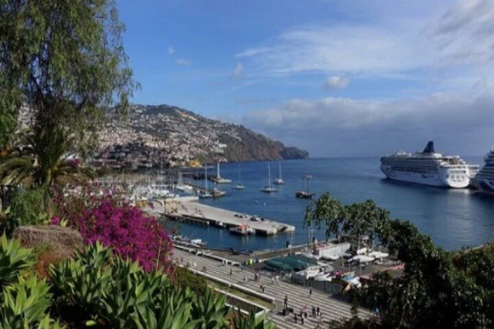 Private: Maderia Island Tour & Famous Monte Toboggan Ride - Image 5