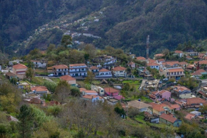 Private: Maderia Island Tour & Famous Monte Toboggan Ride - Image 4