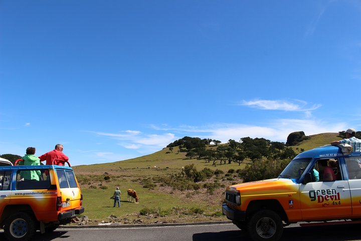 Private Small Group Full Day 4x4 Tour in Northwest Madeira - Image 5