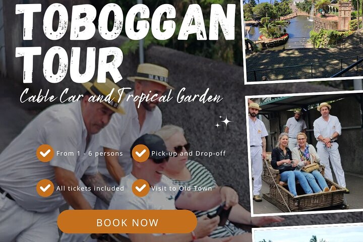 Private Tour Cable Car Toboggan and Botanical Garden - Image 2