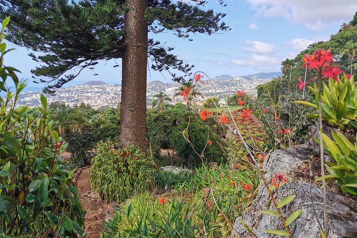 Private Tour Cable Car Toboggan and Botanical Garden - Image 5