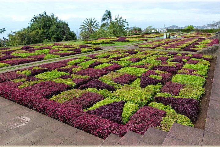 Private Tour Cable Car Toboggan and Botanical Garden - Image 3