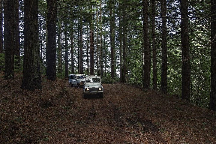 Private Tour: The Enchanting North – Jeep Safari Tour - Full Day - Image 2