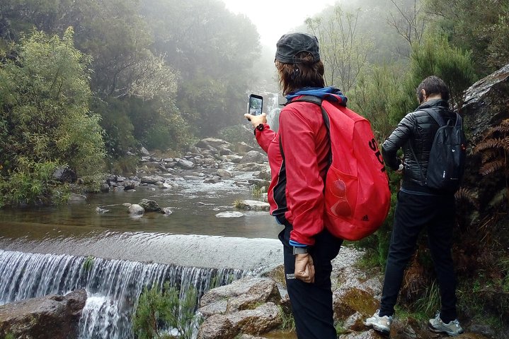 Private Transfer to Levada do Alecrim - Rosemary Levada (easy) - Image 3