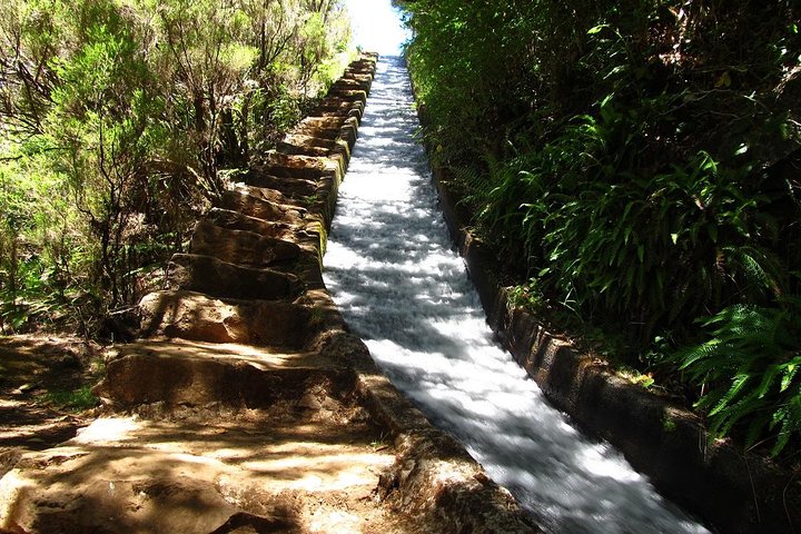 Private Transfer to Levada do Alecrim - Rosemary Levada (easy) - Image 1