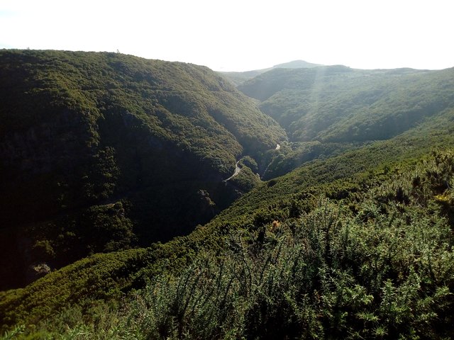 Private Transfer to Levada do Alecrim - Rosemary Levada (easy) - Image 2