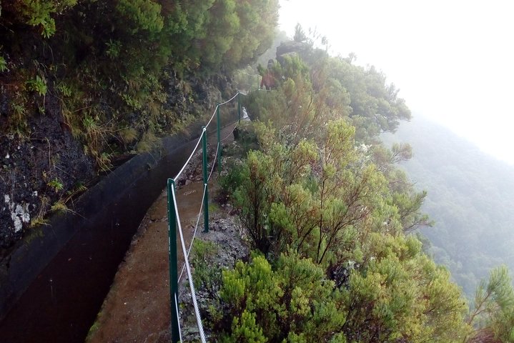 Private Transfer to Levada do Alecrim - Rosemary Levada (easy) - Image 4