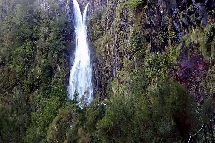 Private VipTours up to 4pax/8pax/19pax - Image 5