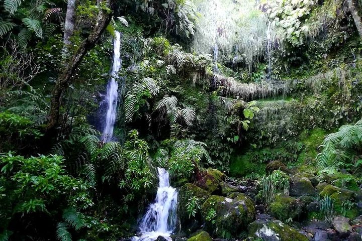 Queimadas-Caldeirão Verde - Image 5