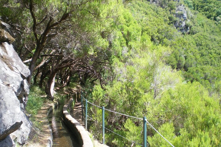 Queimadas - Caldeirão Verde (Full Day Walk) - Image 4