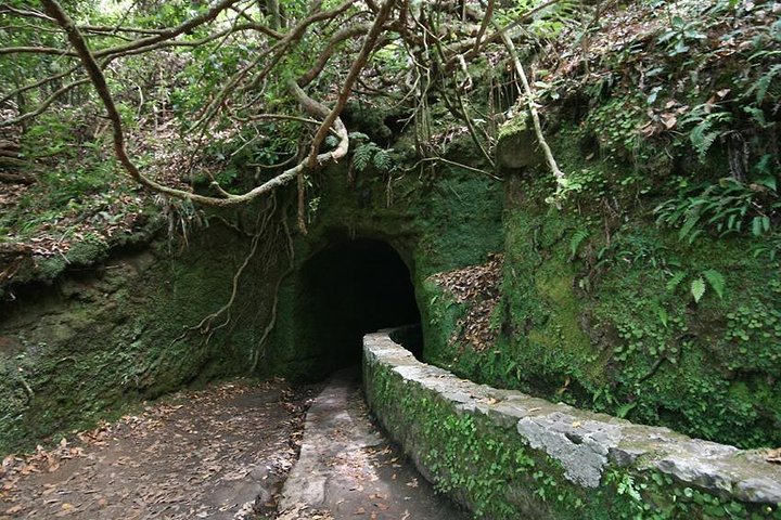 Queimadas - Caldeirão Verde (Full Day Walk) - Image 3