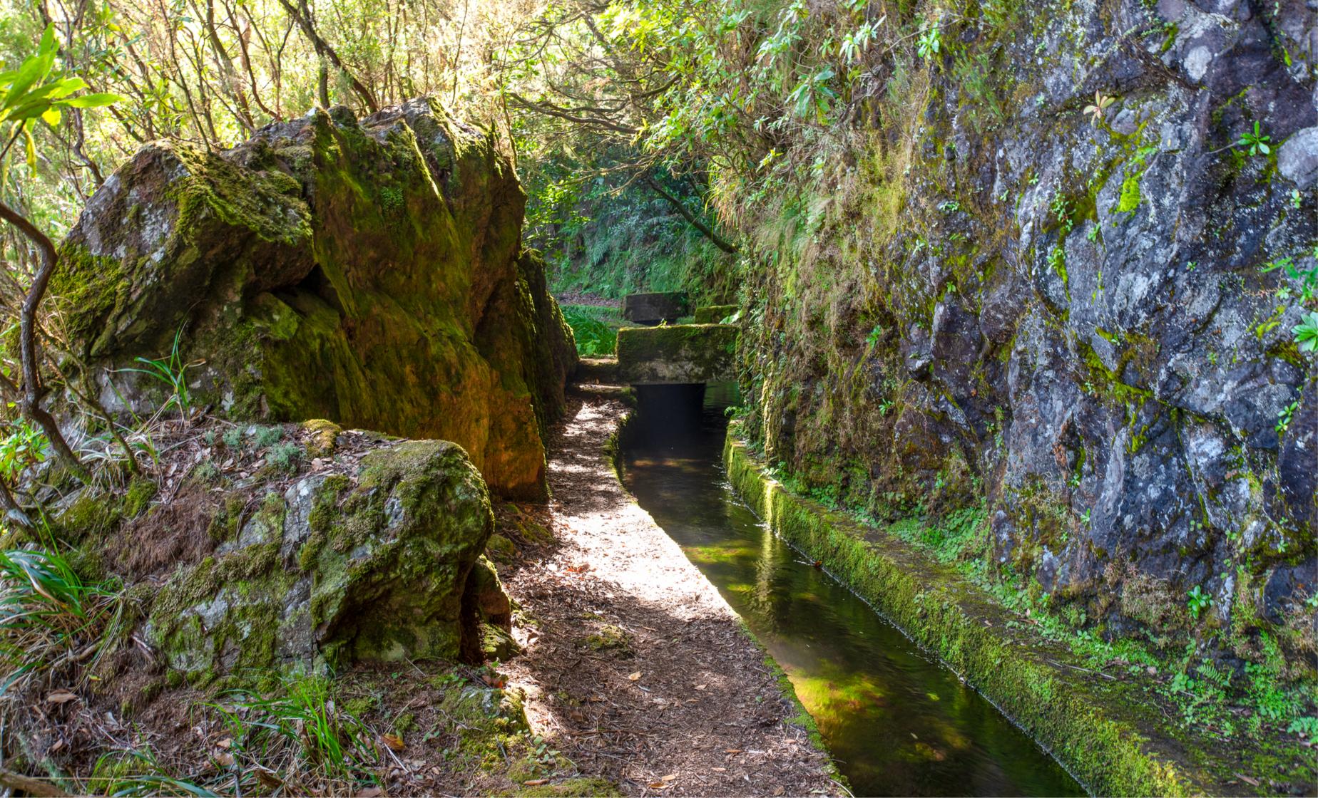 Quinta Grande And Levada Do Norte Walk - Image 1