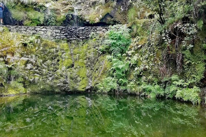 Ribeiro Frio - Portela - Image 5