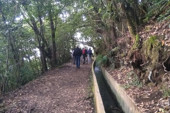 Ribeiro Frio - Portela - Image 4