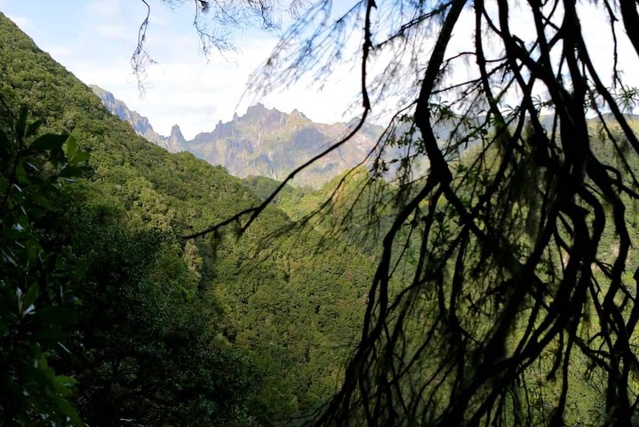 Ribeiro Frio - Portela - Image 2