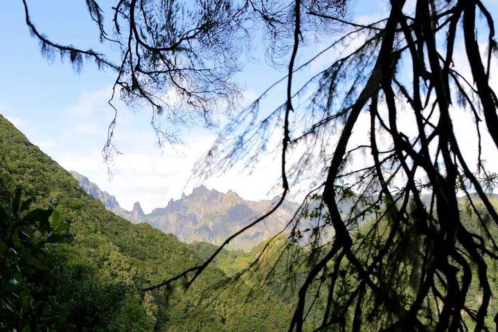 Ribeiro Frio - Portela - Image 1