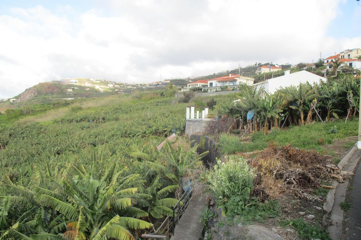Rota do Açucar - Levada Nova (Half Day Walk) - Image 3