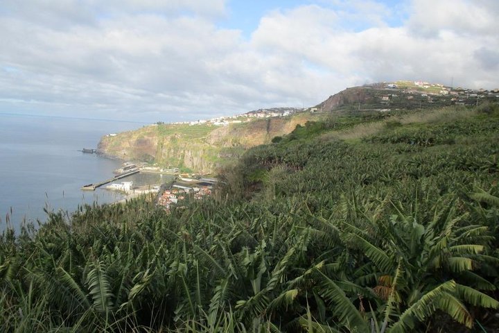 Rota do Açucar - Levada Nova (Half Day Walk) - Image 2