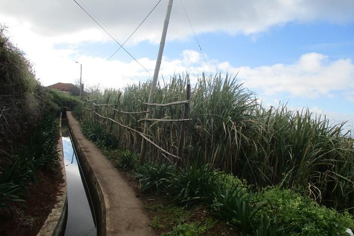 Rota do Açucar - Levada Nova (Half Day Walk) - Image 1
