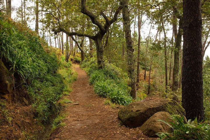 SANTANA Combo Expedition (Jeep Tour & Levada Walk) - EVERYDAY - Image 4