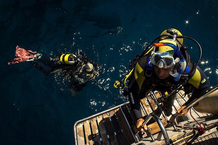 Scuba Diving Courses or Try Diving PADI or SSI - Image 1