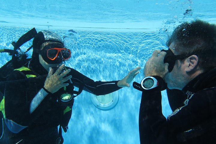 Scuba Diving Courses or Try Diving PADI or SSI - Image 4